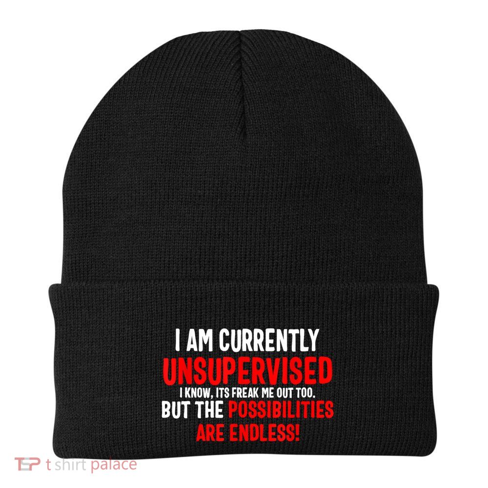 I Am Currently Unsupervised Valentines Day Funny Beanie