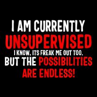 I Am Currently Unsupervised Valentines Day Funny Magnet