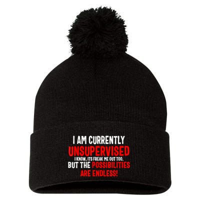 I Am Currently Unsupervised Valentines Day Funny Pom Pom 12in Knit Beanie