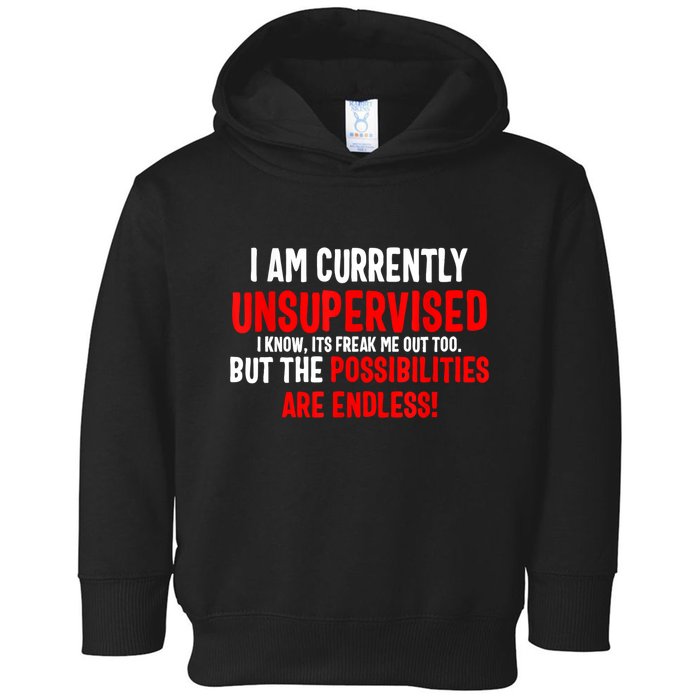 I Am Currently Unsupervised Valentines Day Funny Toddler Hoodie
