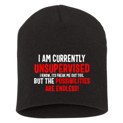 I Am Currently Unsupervised Valentines Day Funny Short Acrylic Beanie