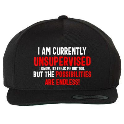 I Am Currently Unsupervised Valentines Day Funny Wool Snapback Cap