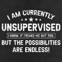 I Am Currently Unsupervised But Possibilities Are Endless 7 Panel Mesh Trucker Snapback Hat