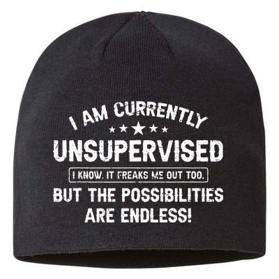 I Am Currently Unsupervised But Possibilities Are Endless Sustainable Beanie