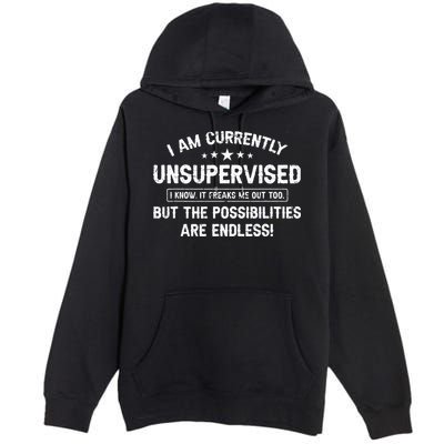 I Am Currently Unsupervised But Possibilities Are Endless Premium Pullover Hoodie