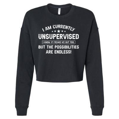 I Am Currently Unsupervised But Possibilities Are Endless Cropped Pullover Crew