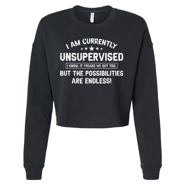 I Am Currently Unsupervised But Possibilities Are Endless Cropped Pullover Crew