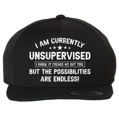 I Am Currently Unsupervised But Possibilities Are Endless Wool Snapback Cap