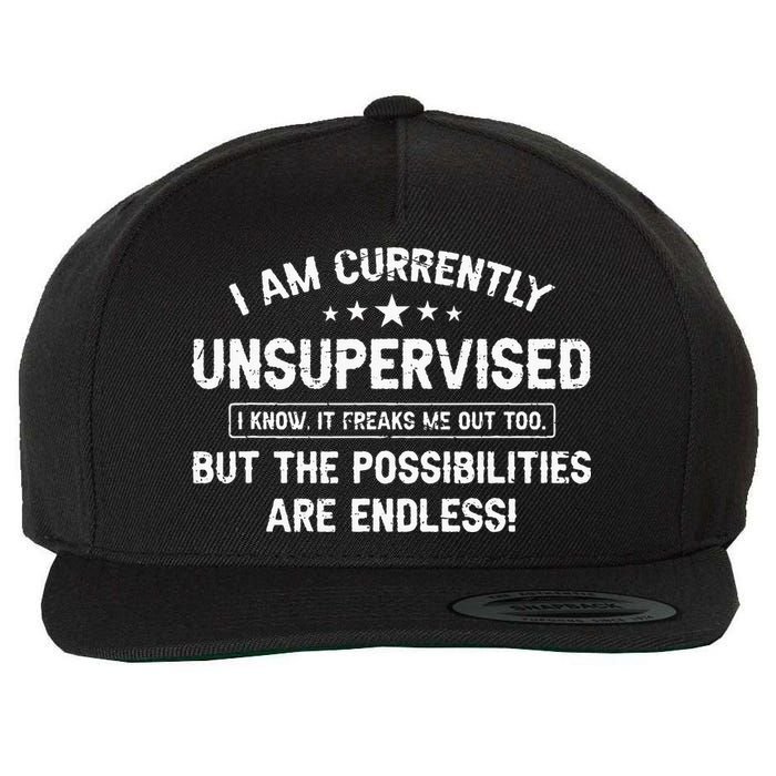 I Am Currently Unsupervised But Possibilities Are Endless Wool Snapback Cap