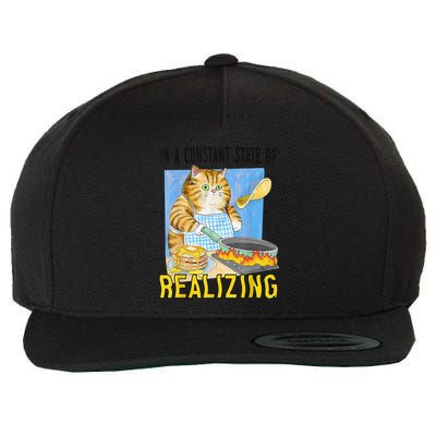 In A Constant State Of Realizing Funny Cartoon Cat Chef Meme Wool Snapback Cap