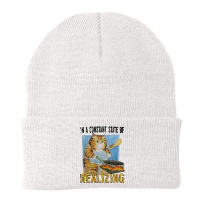 In A Constant State Of Realizing Knit Cap Winter Beanie