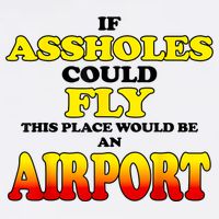 If Assholes Could Fly This Place Would Be An Airport T-Shirt