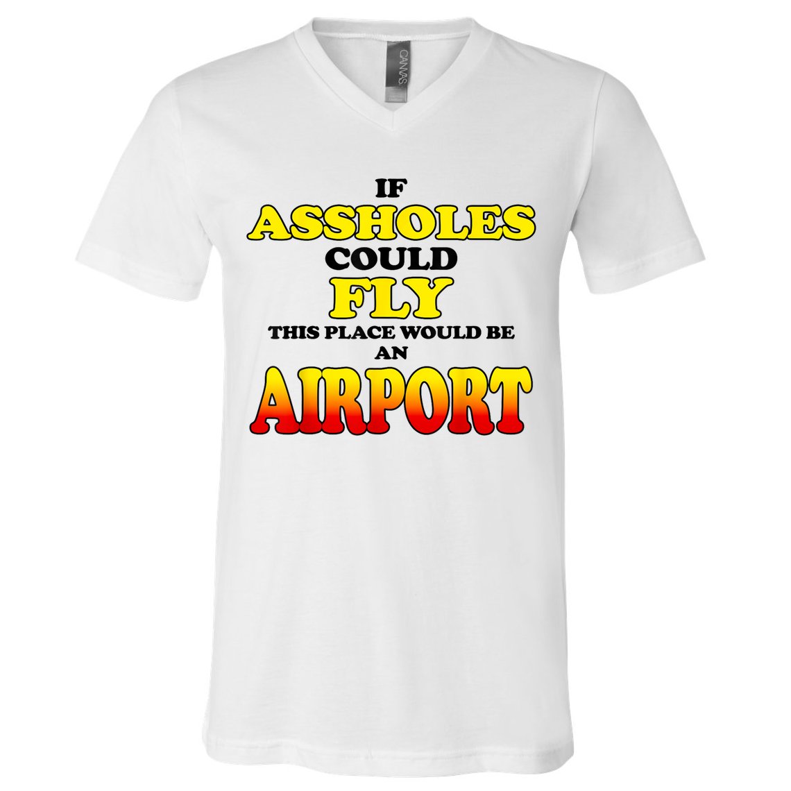 If Assholes Could Fly This Place Would Be An Airport V-Neck T-Shirt