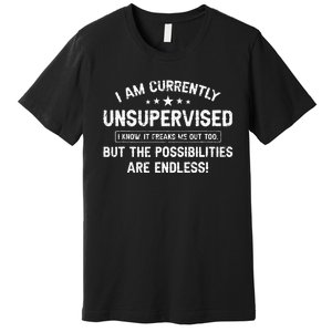 I Am Currently Unsupervised But Possibilities Are Endless Premium T-Shirt