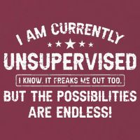 I Am Currently Unsupervised But Possibilities Are Endless 16oz Travel Tumbler