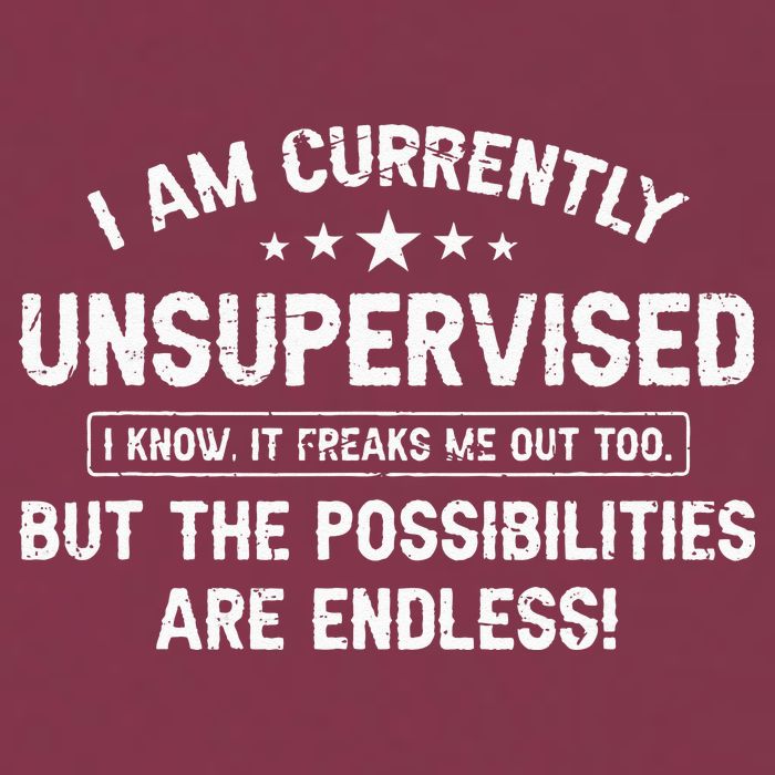 I Am Currently Unsupervised But Possibilities Are Endless 16oz Travel Tumbler