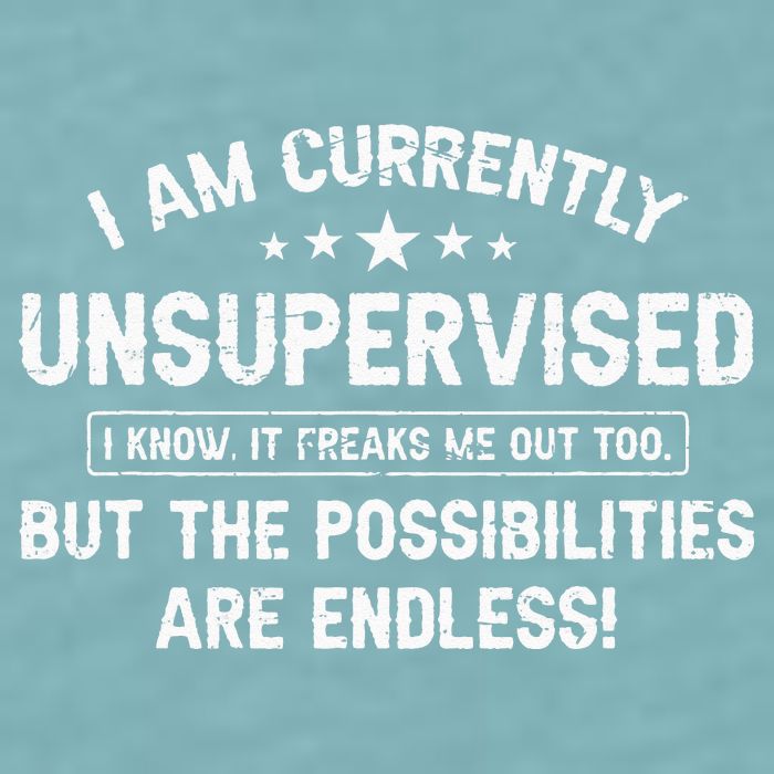 I Am Currently Unsupervised But Possibilities Are Endless Sueded Cloud Jersey T-Shirt