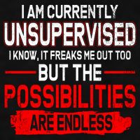 I Am Currently Unsupervised The Possibilities Are Endless Ladies PosiCharge Tri-Blend Wicking Tank