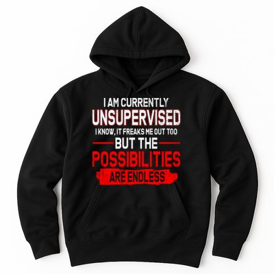 I Am Currently Unsupervised The Possibilities Are Endless Hoodie