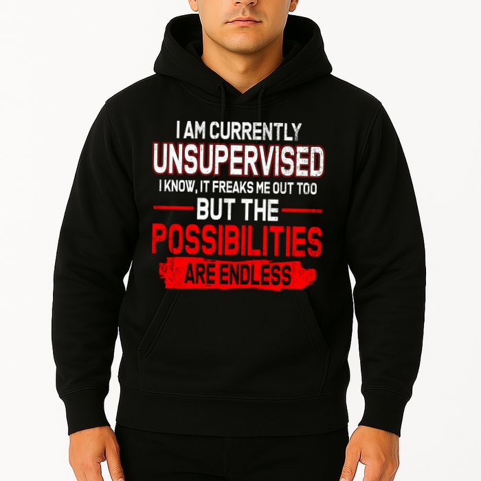 I Am Currently Unsupervised The Possibilities Are Endless Hoodie