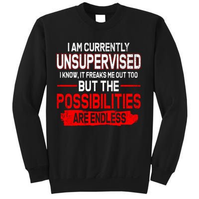 I Am Currently Unsupervised The Possibilities Are Endless Sweatshirt