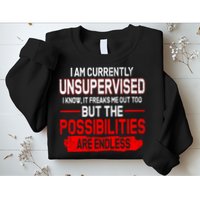 I Am Currently Unsupervised The Possibilities Are Endless Sweatshirt