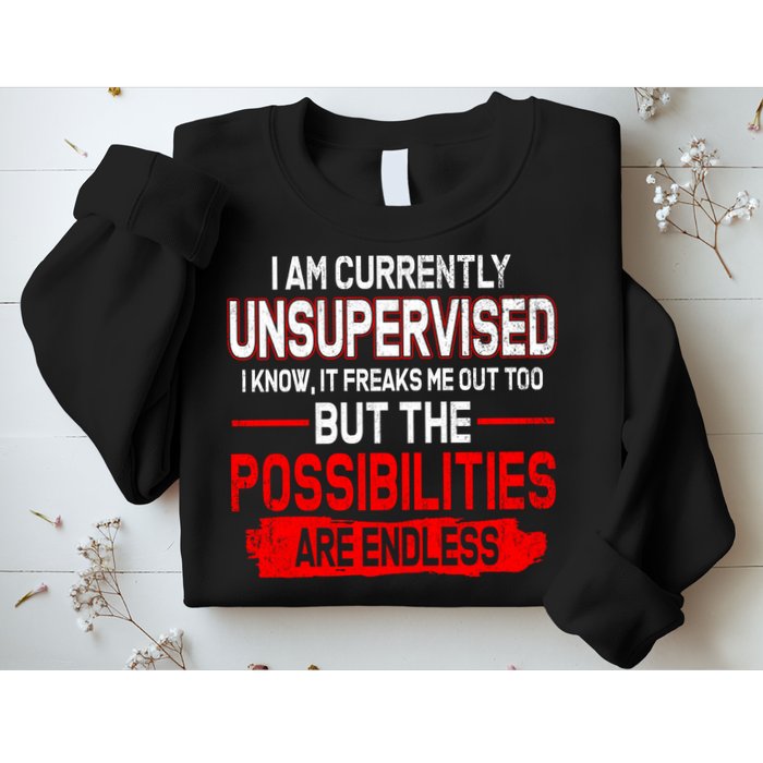 I Am Currently Unsupervised The Possibilities Are Endless Sweatshirt