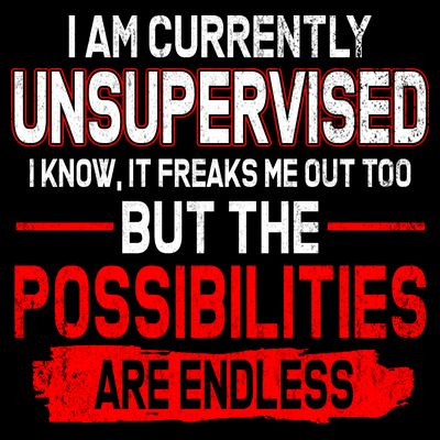 I Am Currently Unsupervised The Possibilities Are Endless T-Shirt