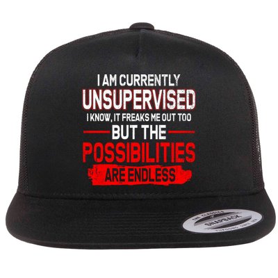 I Am Currently Unsupervised The Possibilities Are Endless Flatbill Hat