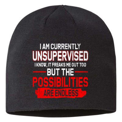 I Am Currently Unsupervised The Possibilities Are Endless Sustainable Beanie