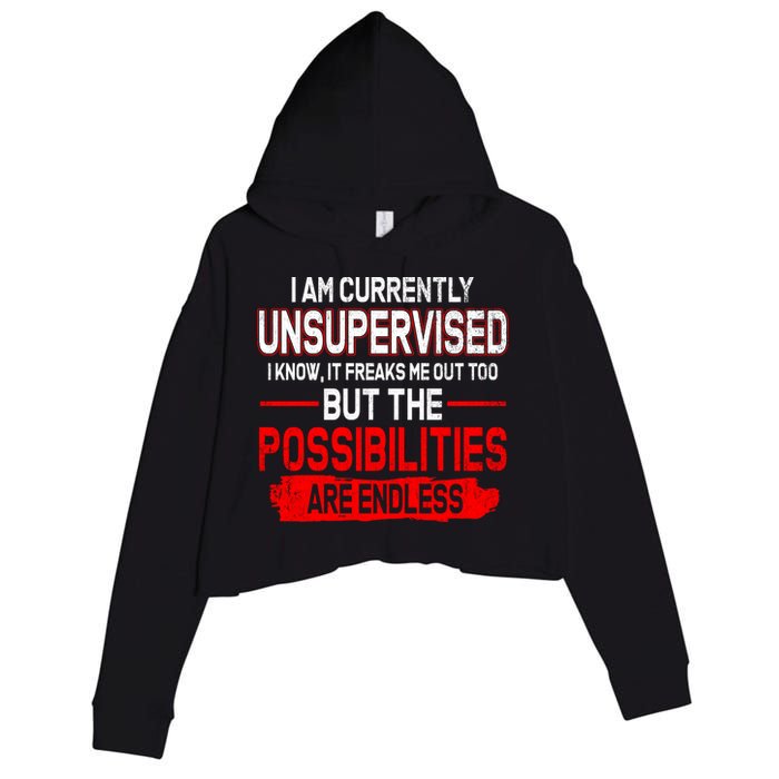 I Am Currently Unsupervised The Possibilities Are Endless Crop Fleece Hoodie