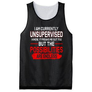 I Am Currently Unsupervised The Possibilities Are Endless Mesh Reversible Basketball Jersey Tank