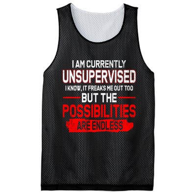 I Am Currently Unsupervised The Possibilities Are Endless Mesh Reversible Basketball Jersey Tank