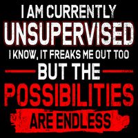 I Am Currently Unsupervised The Possibilities Are Endless Magnet