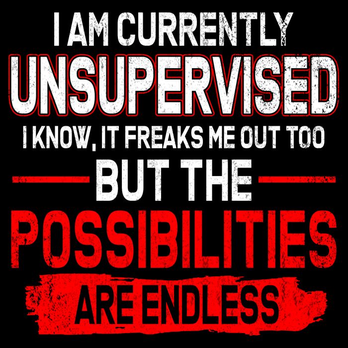 I Am Currently Unsupervised The Possibilities Are Endless Magnet