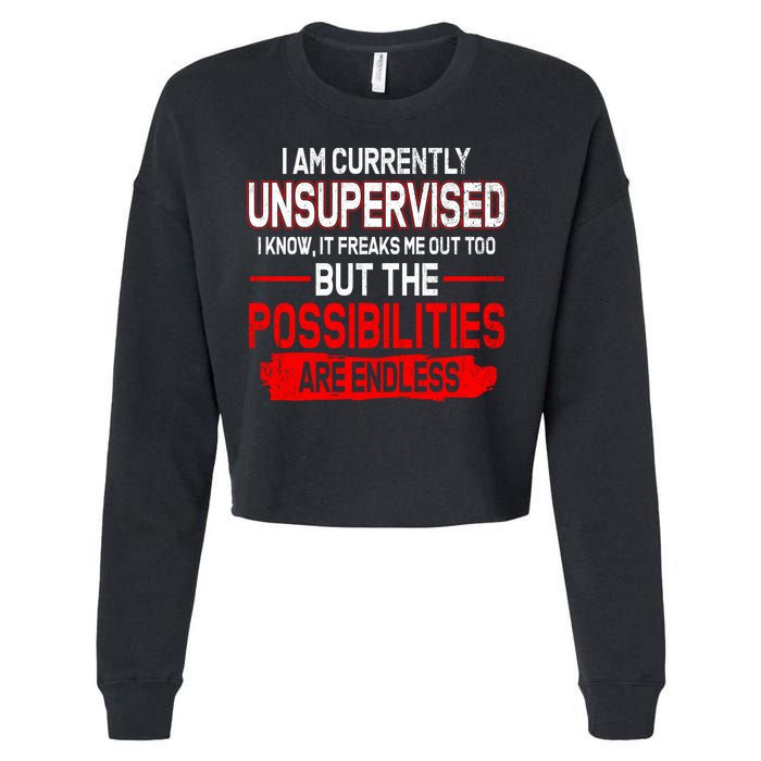 I Am Currently Unsupervised The Possibilities Are Endless Cropped Pullover Crew