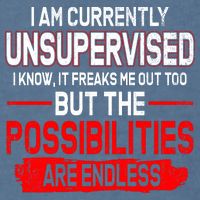 I Am Currently Unsupervised The Possibilities Are Endless Garment-Dyed Sweatshirt
