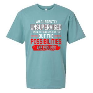 I Am Currently Unsupervised The Possibilities Are Endless Sueded Cloud Jersey T-Shirt