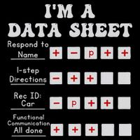 I'm A Data Sheet Aba Behavior Analyst Halloween Costume Flat Bill Trucker Hat