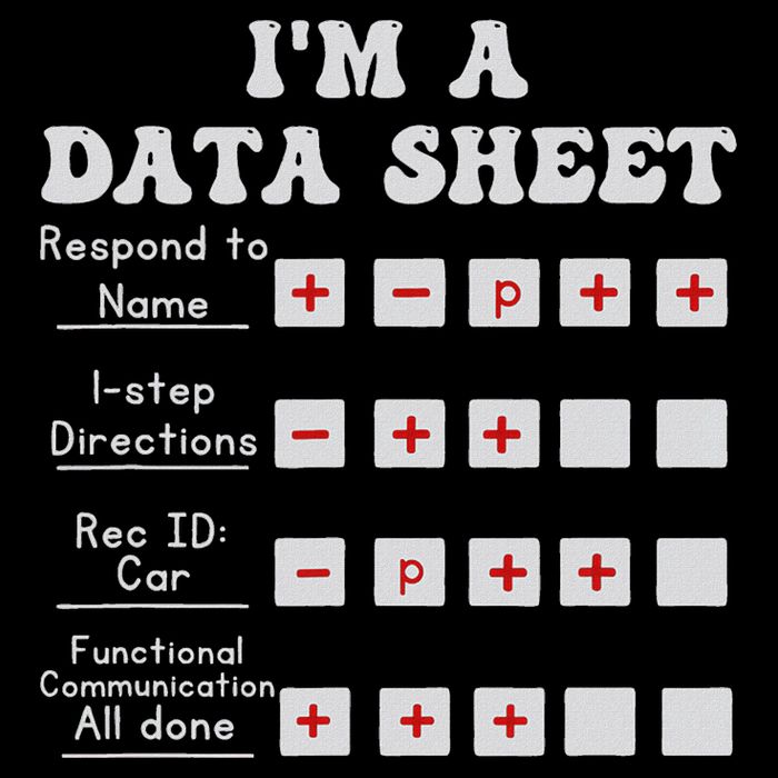 I'm A Data Sheet Aba Behavior Analyst Halloween Costume Flat Bill Trucker Hat