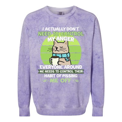 I Actually Dont Need To Control My Anger Funny Cat Colorblast Crewneck Sweatshirt