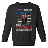 Im A Dad Grandpa And A Veteran Nothing Scares Me Toddler Sweatshirt