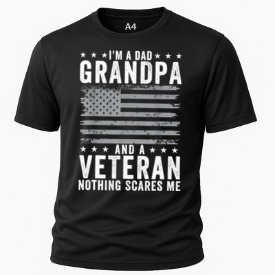 Im A Dad Grandpa And Veteran Fathers Day Papa Grandpa Performance Shirt