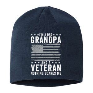 Im A Dad Grandpa And Veteran Fathers Day Papa Grandpa Sustainable Beanie