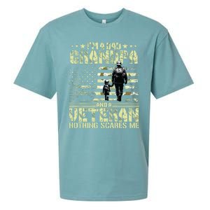 Im A Dad Grandpa And Veteran Fathers Day Papa Grandpa Sueded Cloud Jersey T-Shirt