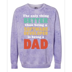 I'm A Dad And Software Engineer Funny Fatherhood Funny Dad Gift Colorblast Crewneck Sweatshirt