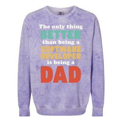 I'm A Dad And Software Engineer Funny Fatherhood Funny Dad Gift Colorblast Crewneck Sweatshirt