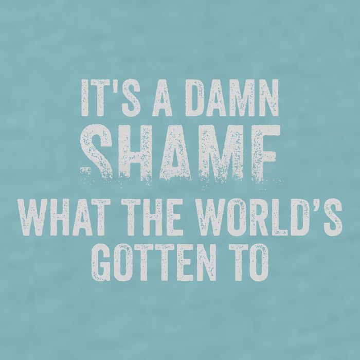 ItS A Damn Shame What The WorldS Gotten Sueded Cloud Jersey T-Shirt