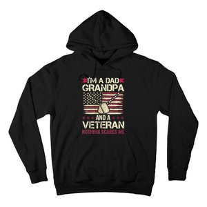 IM A Dad Grandpa And A Veteran Nothing Scares Me Hoodie