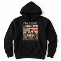 I'm A Dad, Grandpa, and a Veteran – Nothing Scares Me Hoodie